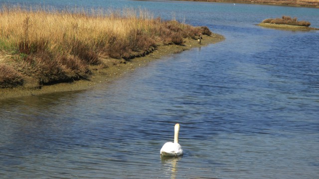 Val Stagnon 28