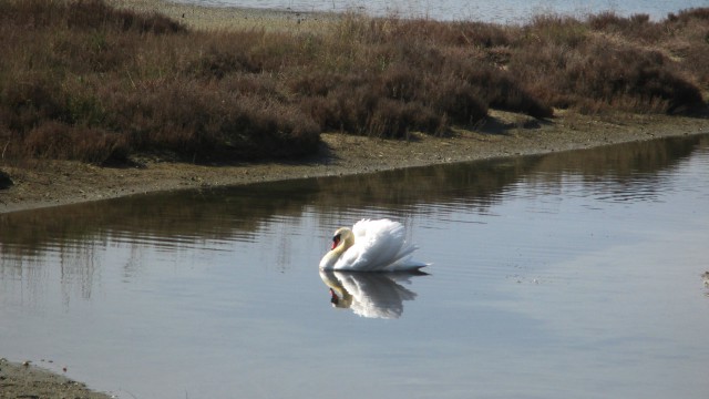 Val Stagnon 39