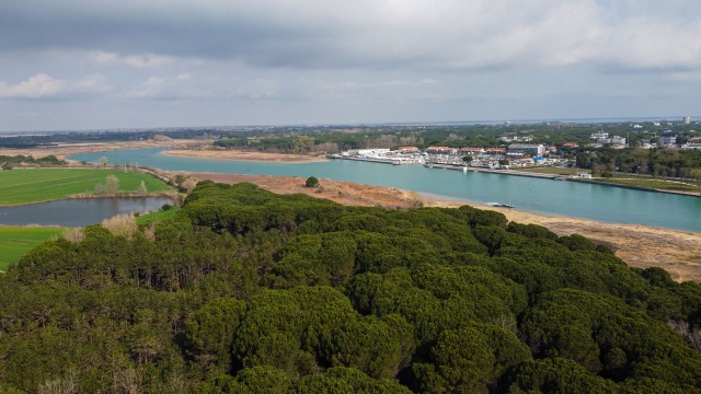 Foce del Tagliamento 8