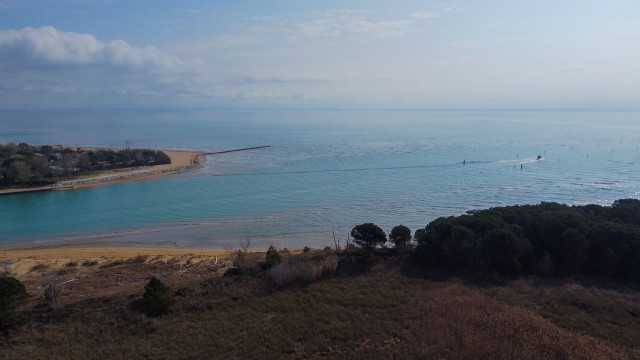 Foce del Tagliamento 9