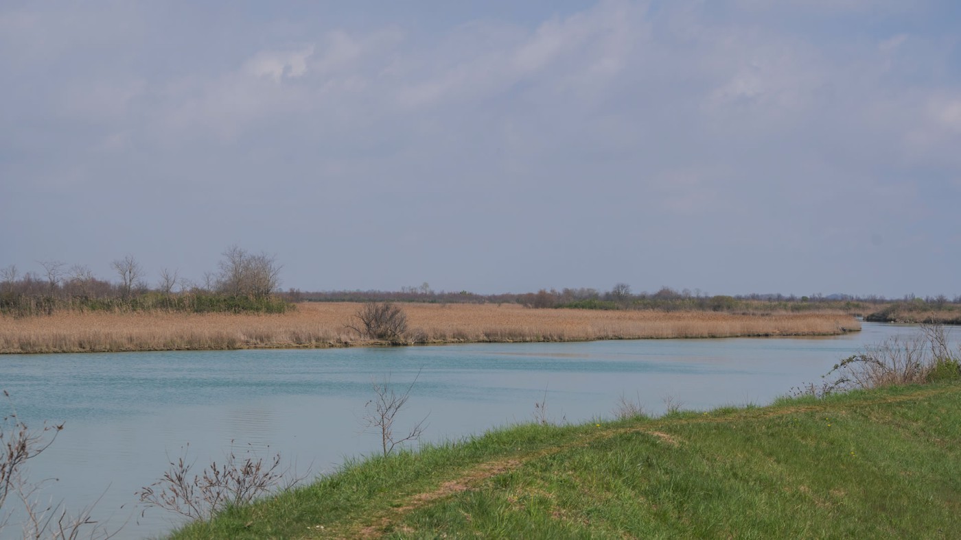 Conosciamo l'area Natura 2000 Valle Vecchia – Zumelle - Valli di Bibione