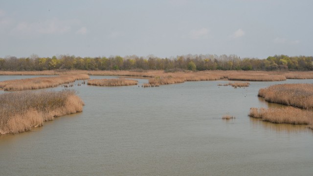 Valle Vecchia – Zumelle - Valli di Bibione 13