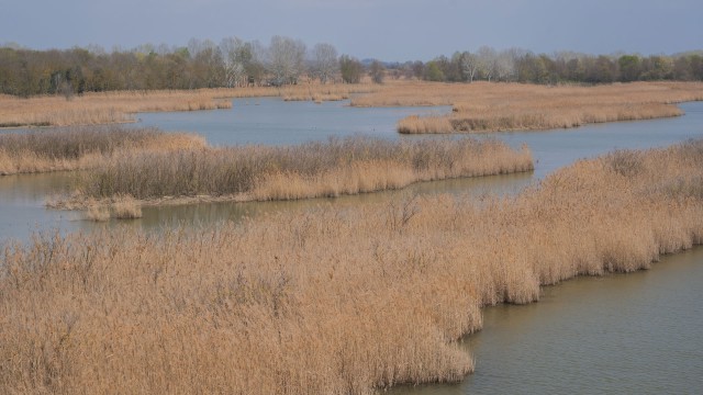 Valle Vecchia – Zumelle - Valli di Bibione 14