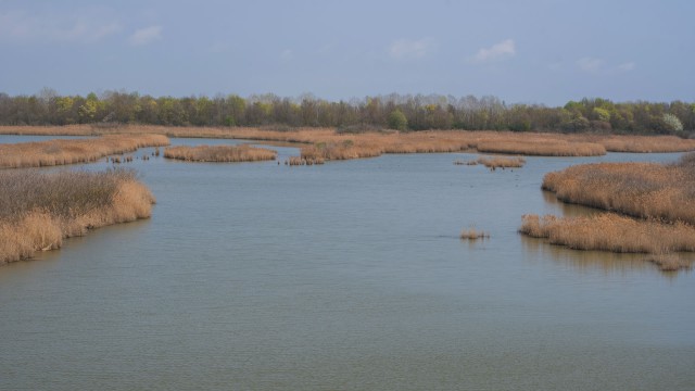Valle Vecchia – Zumelle - Valli di Bibione 15