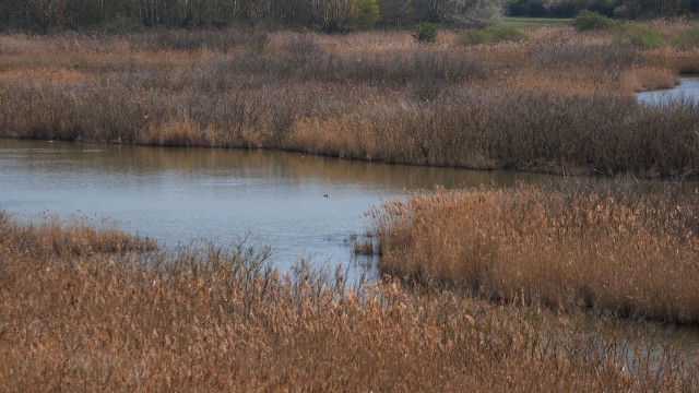 Valle Vecchia – Zumelle - Valli di Bibione 16