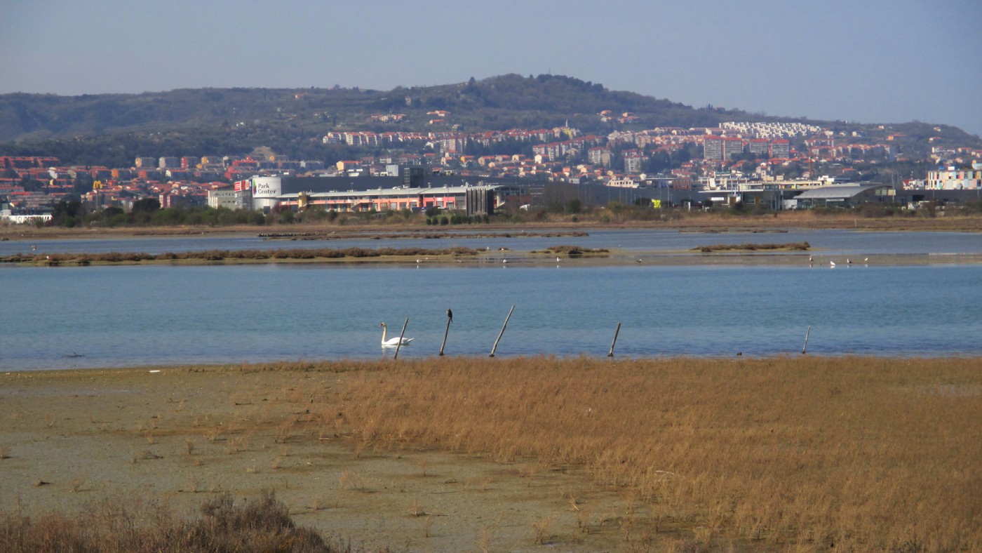 Conosciamo l'area Natura 2000 Val Stagnon