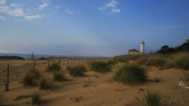 Foce del Tagliamento 18