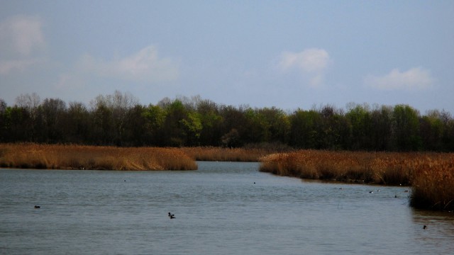 Valle Vecchia – Zumelle - Valli di Bibione 17