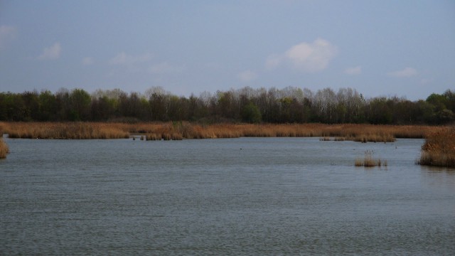 Valle Vecchia – Zumelle - Valli di Bibione 19