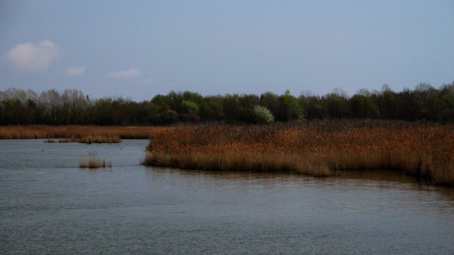Valle Vecchia – Zumelle - Valli di Bibione 20