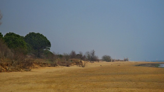 Valle Vecchia – Zumelle - Valli di Bibione 23