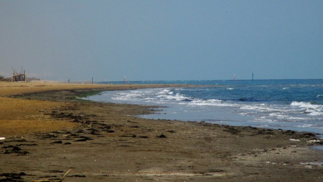 Valle Vecchia – Zumelle - Valli di Bibione 24