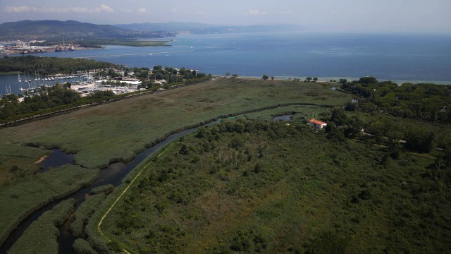 Cavana di Monfalcone 5