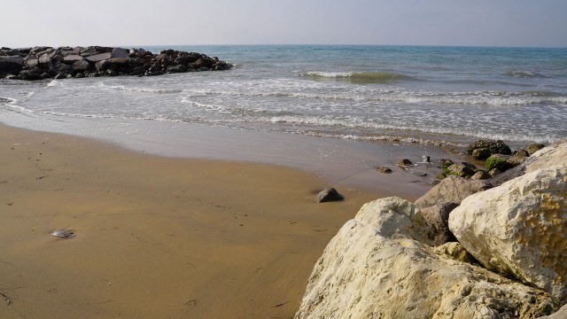 Foce del Tagliamento 10