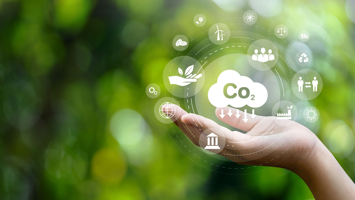 Misure di adattamento basate sugli ecosistemi